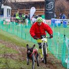 Dogscooter mit Deutsch Drahthaar Jussi