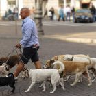 Dogsitter in Neapel