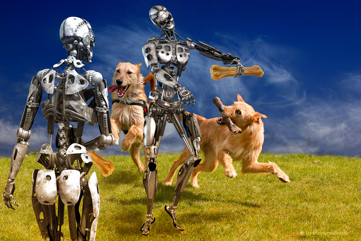 Dogsitting by Robots