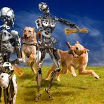 Dogsitting by Robots