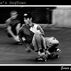 DogTown (crop2)