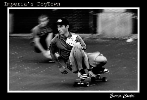 DogTown (crop2)