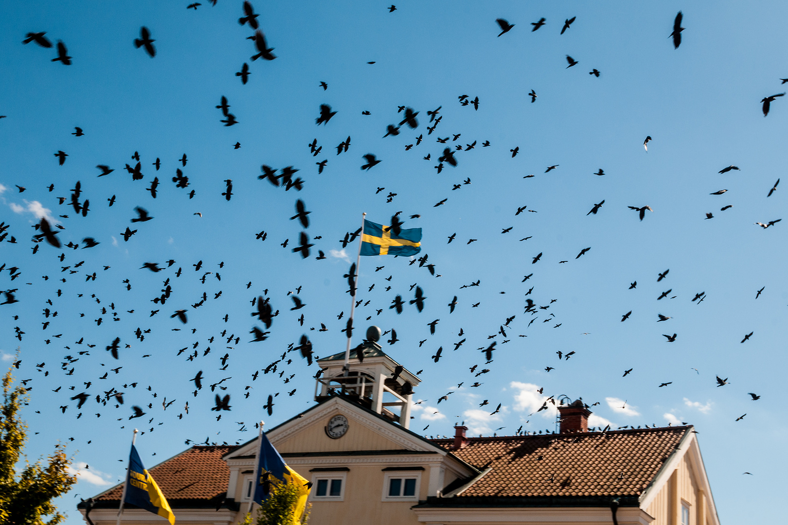 Dohlen über Vimmerby, Schweden