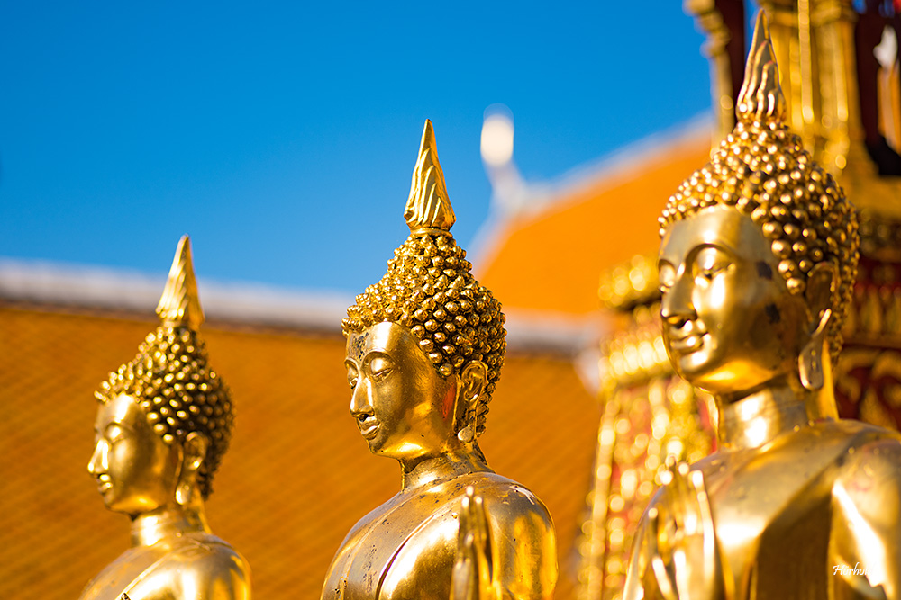 Doi Suthep IV