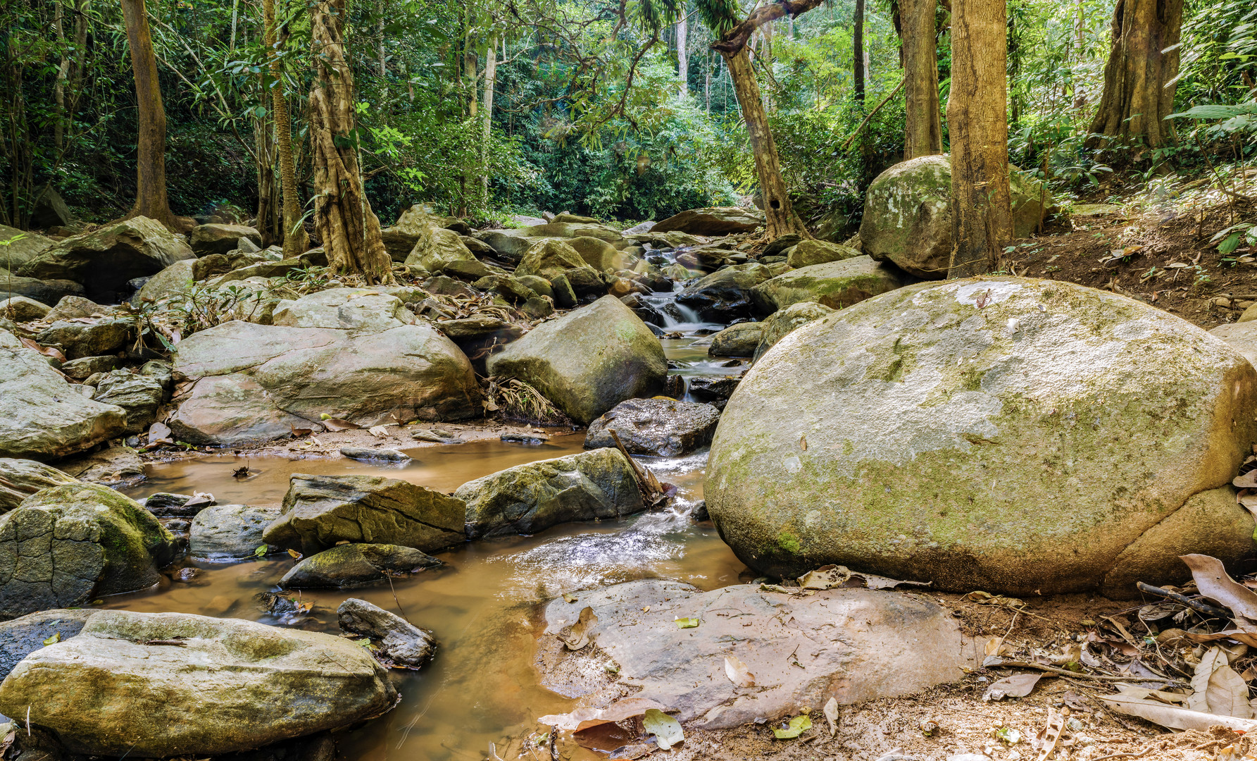 Doi Suthep Pui Nationalpark