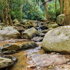 Doi Suthep Pui Nationalpark