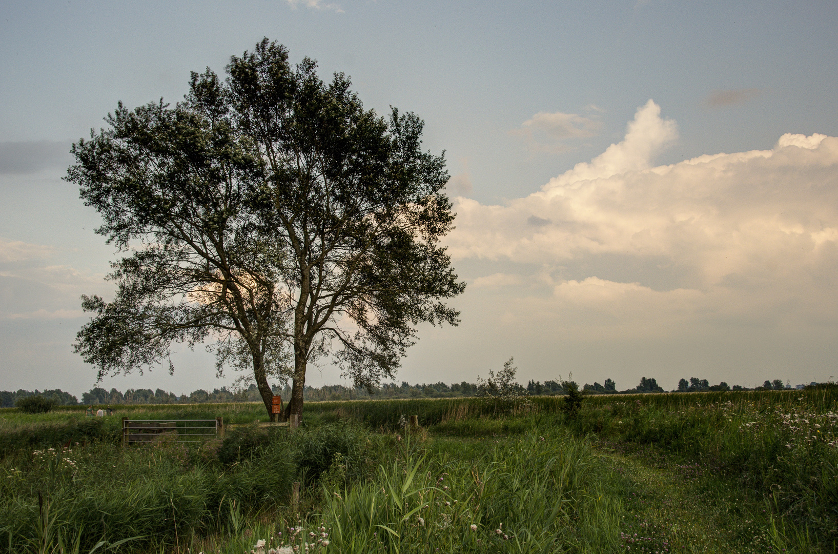 Dokkumerdiep (Lauwersmeer) - 03