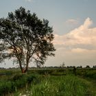 Dokkumerdiep (Lauwersmeer) - 03