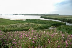 Dokkumerdiep (Lauwersmeer) - 04