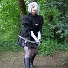 Dokomi 8/2022