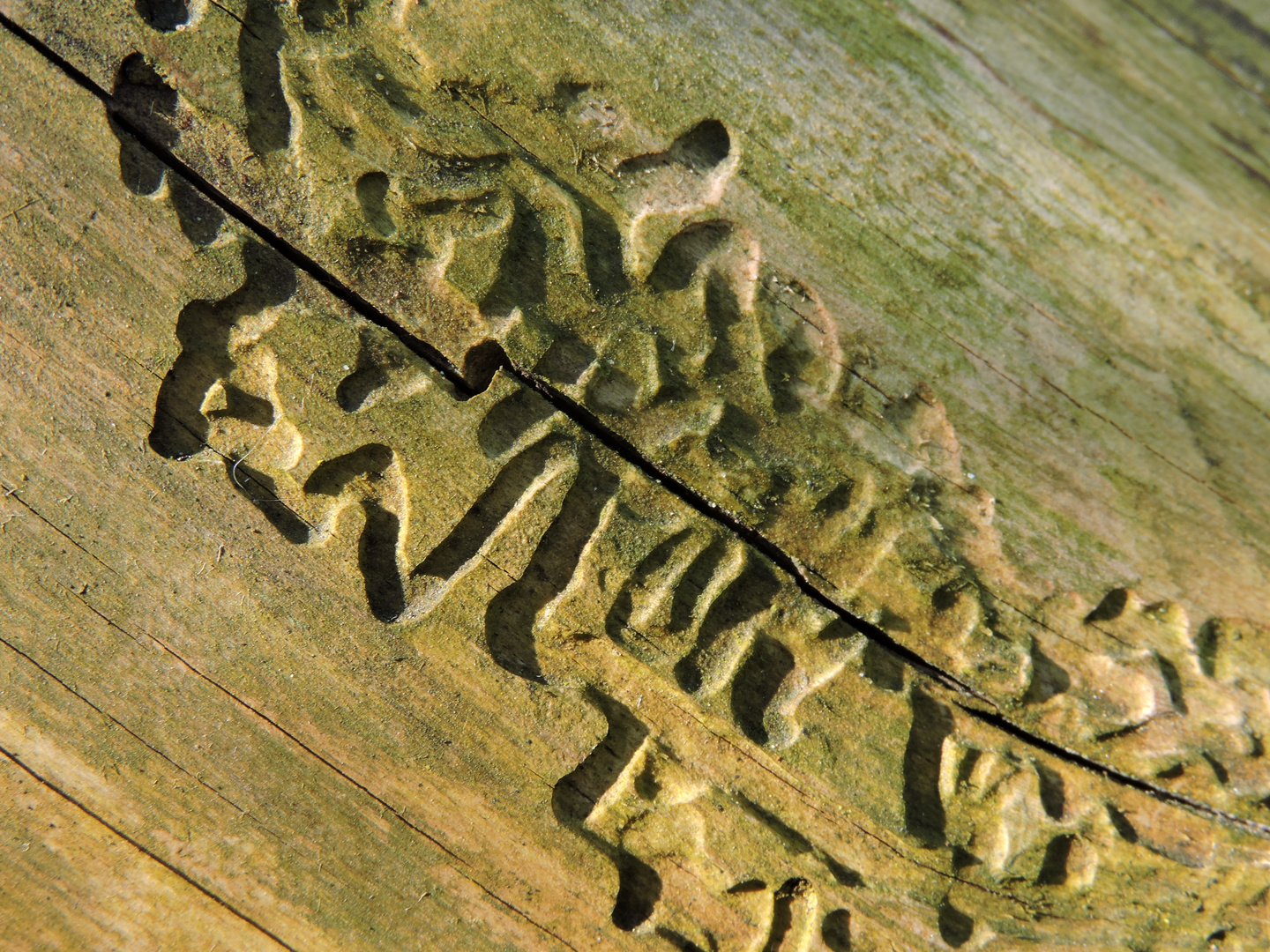 Doktorenhandschrift?