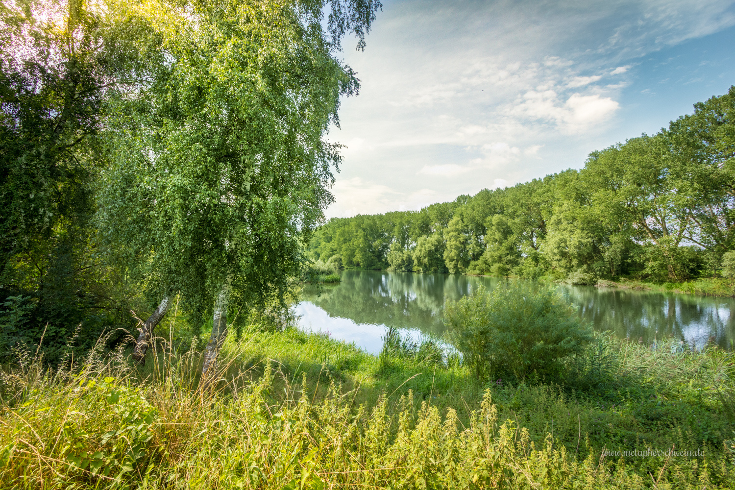 Doktorsee Rinteln