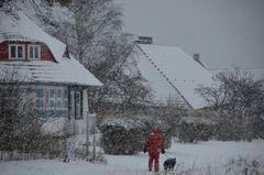 Doku 26.02.2018 Insel Hiddensee 