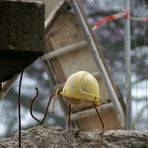 Doku Reichenbachbrücke : Sicherheit wird hier großgeschrieben :-)