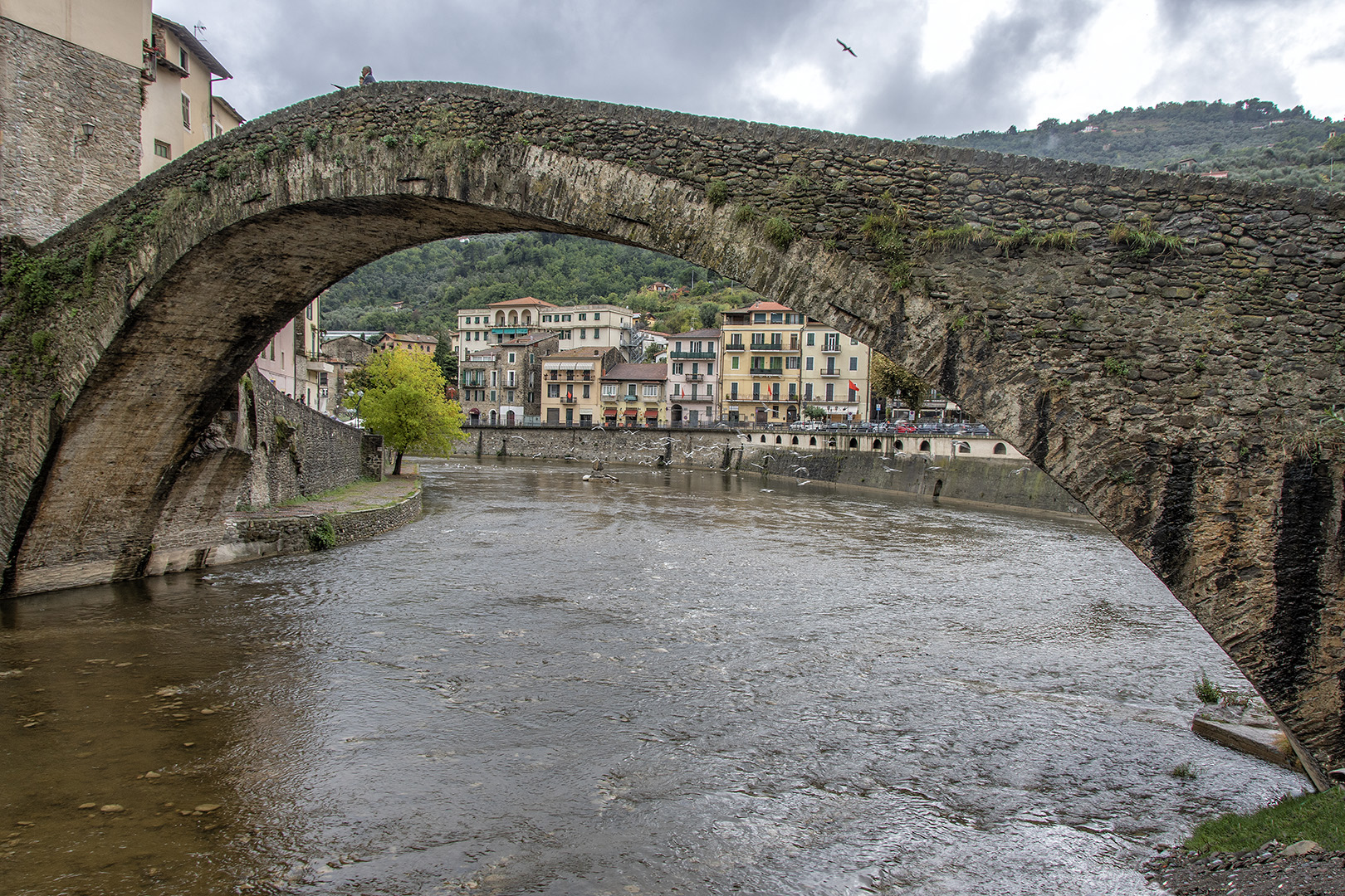 Dolce Acqua