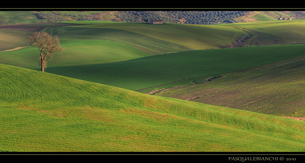 Dolci colline