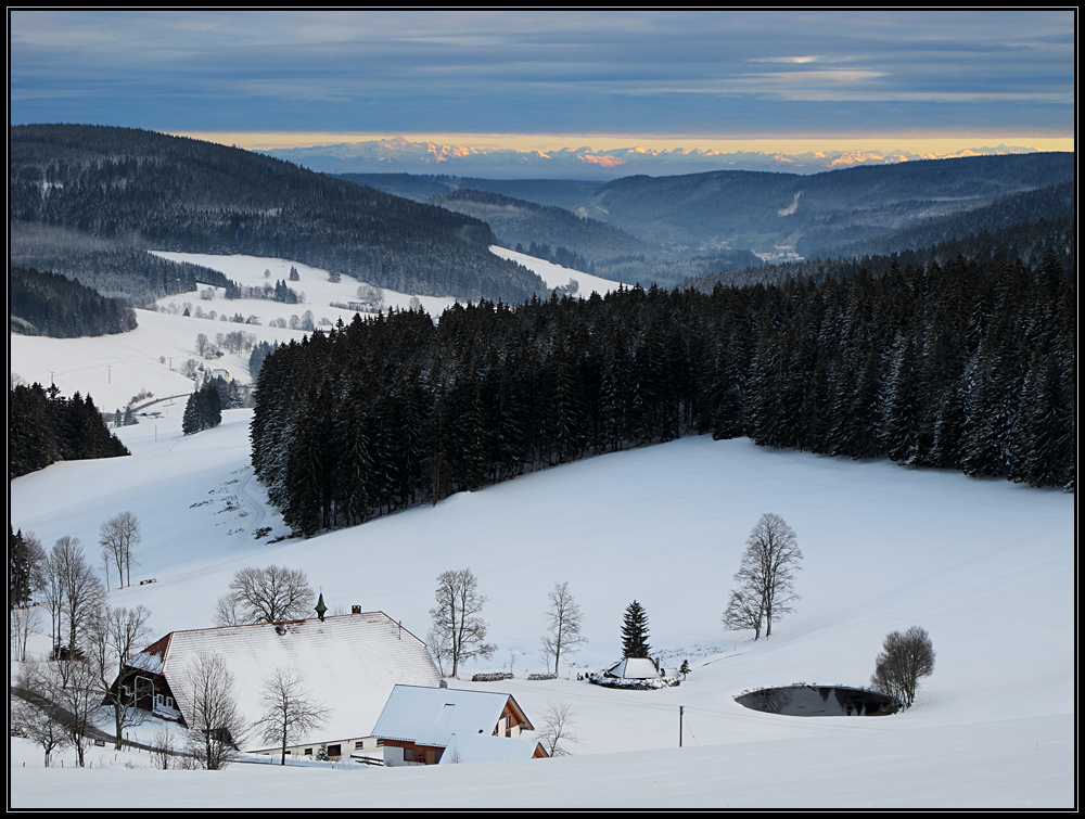 Doldenbühl