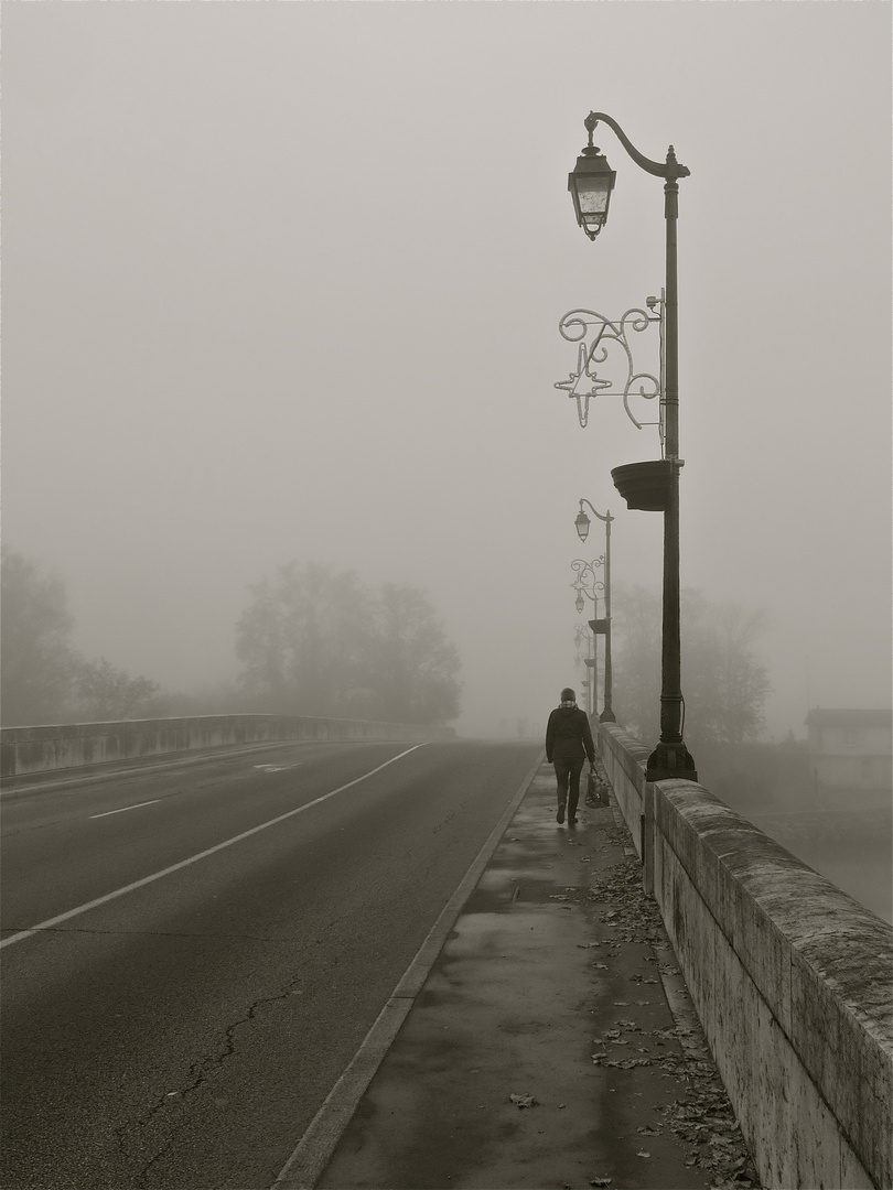 ... Dole dans le brouillard -1- !!!...