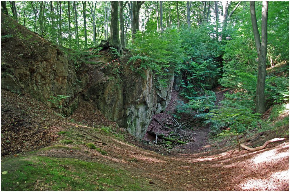 Doline Foto & Bild landschaft, wald, landschaft und natur Bilder auf