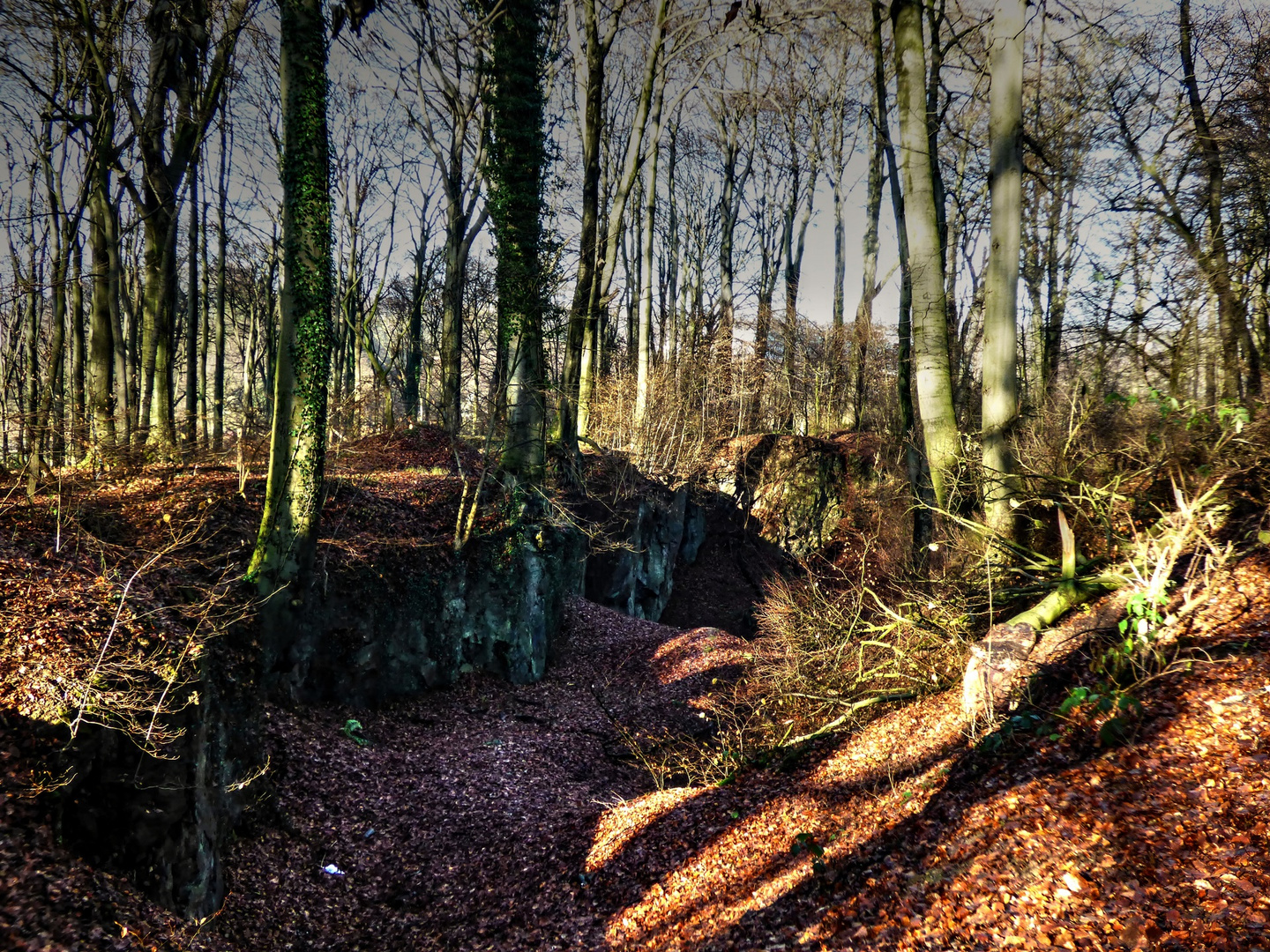 Dolinen im Wald - Wuppertal-Langerfeld