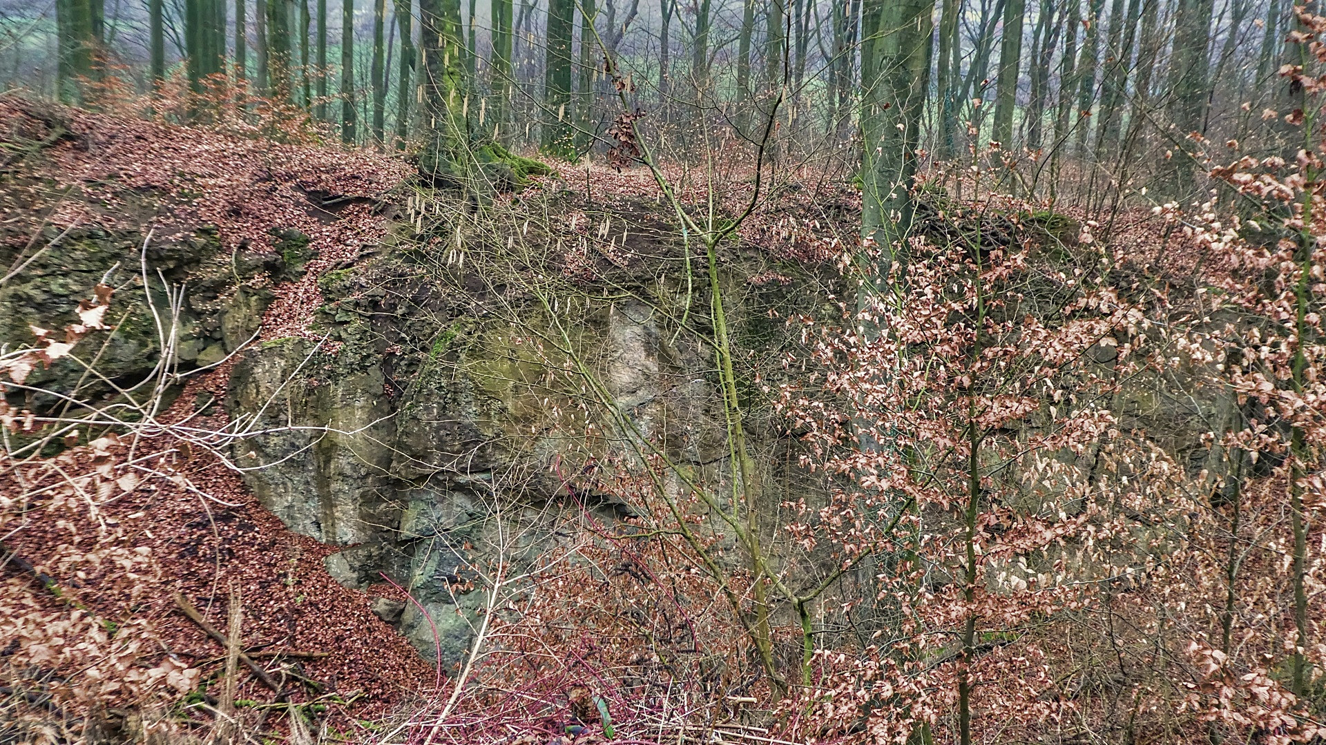 Dolinen im Wald - Wuppertal-Langerfeld