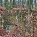Dolinen im Wald - Wuppertal-Langerfeld
