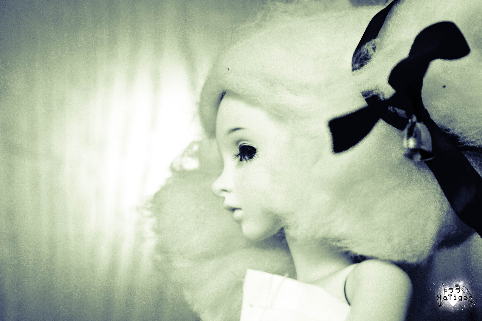 Doll