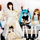 Doll Familly