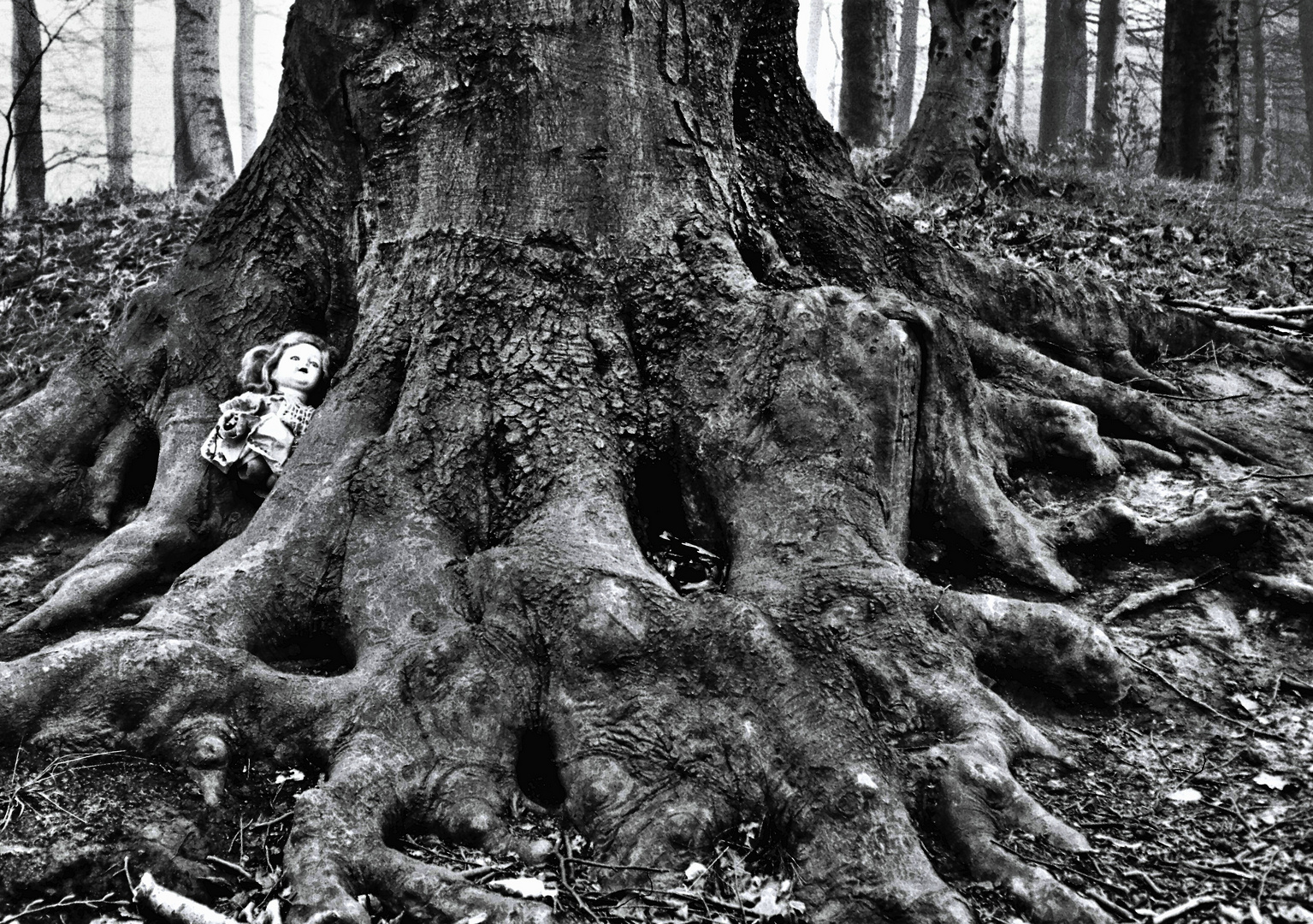 Doll in the tree