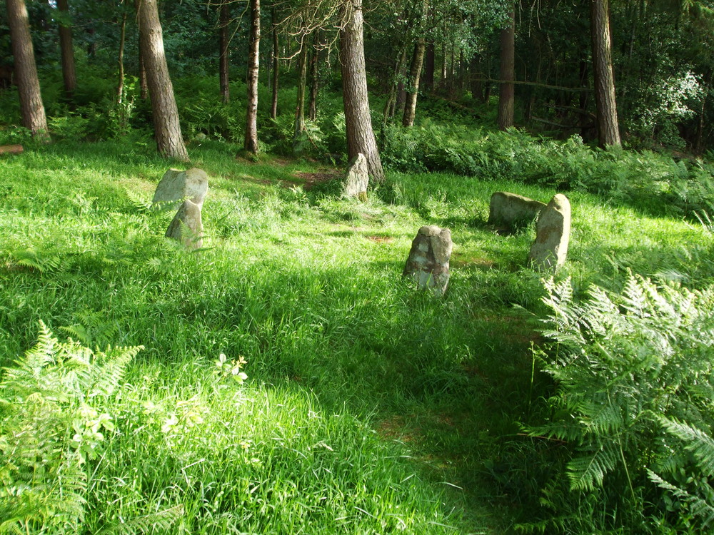 Doll Tor stone circle, Birchover, Derbyshire