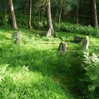 Doll Tor stone circle, Birchover, Derbyshire