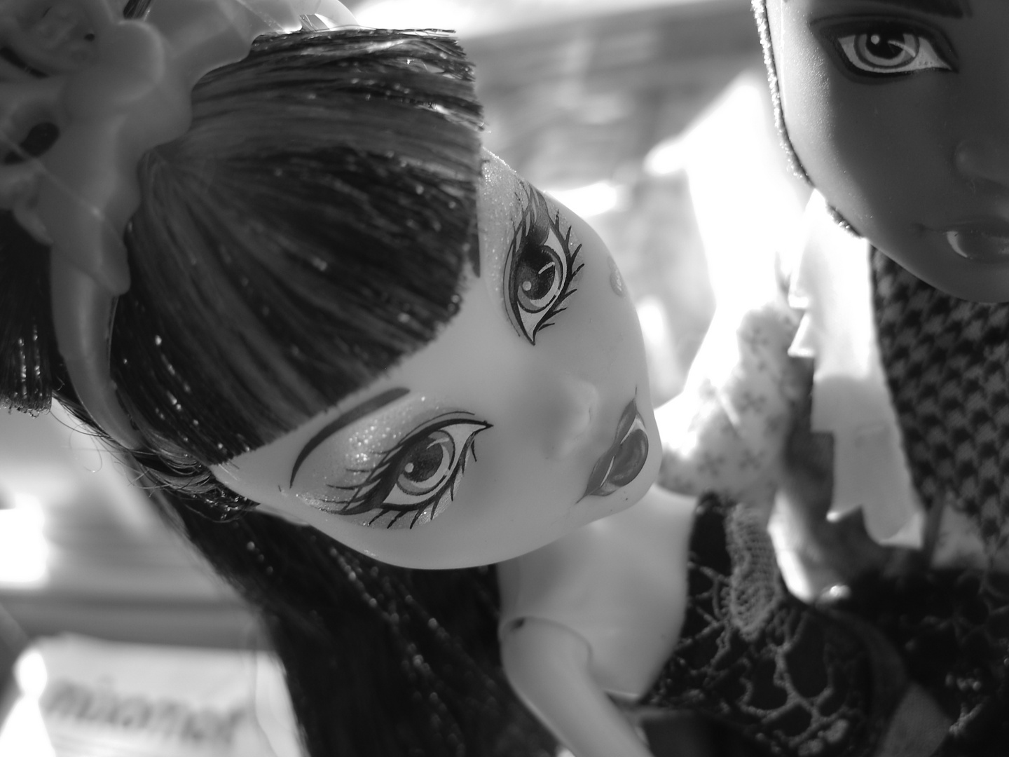 Doll´s Monster High 2