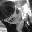 Doll´s Monster High 2