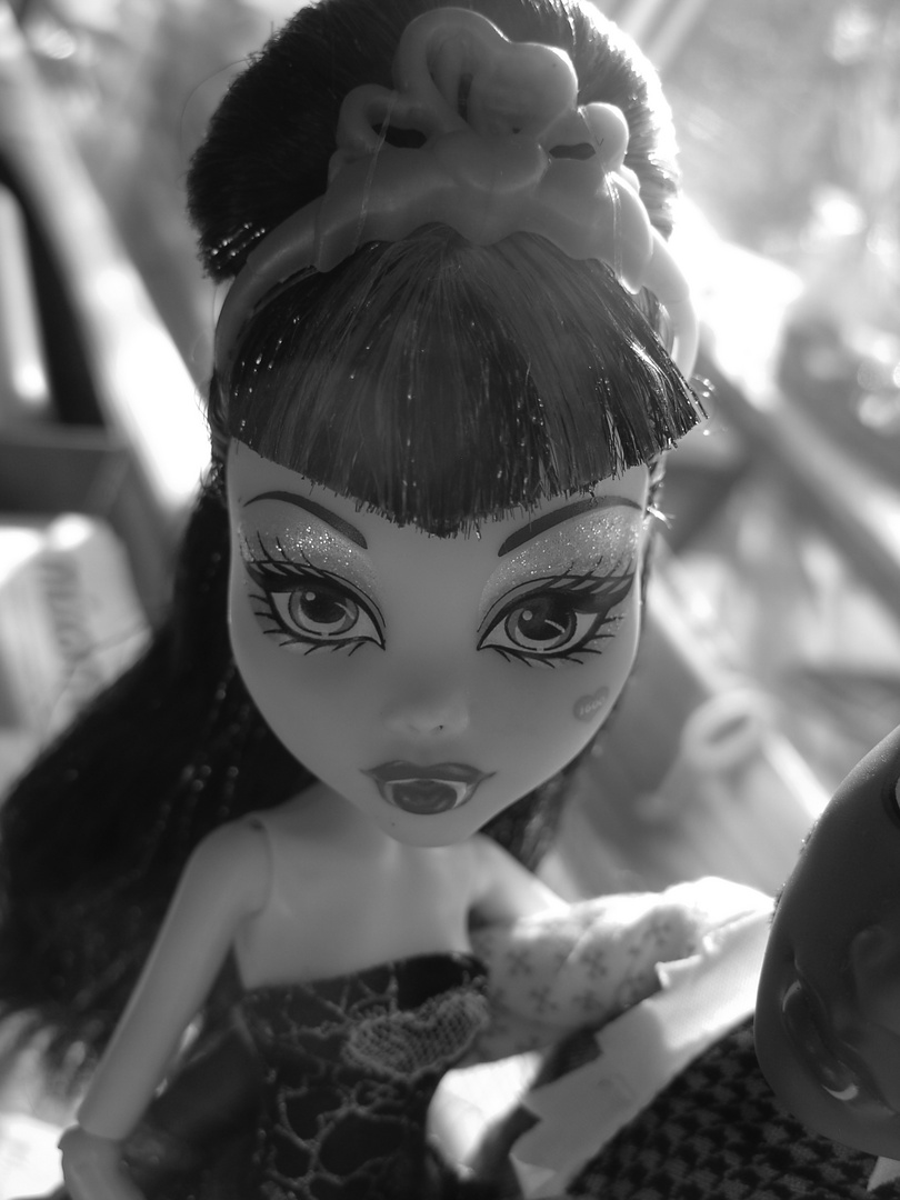 Doll´s Monster High