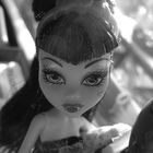 Doll´s Monster High