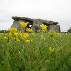 DOLMEN