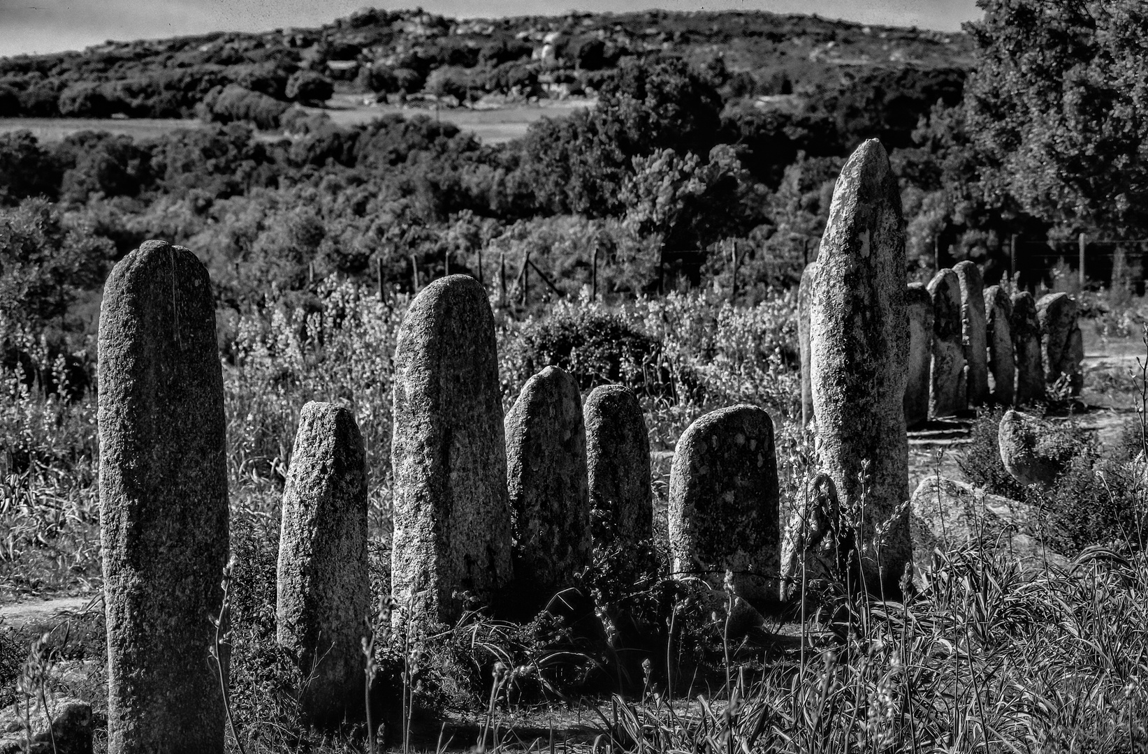 Dolmen auf Korsika