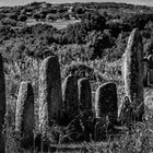 Dolmen auf Korsika