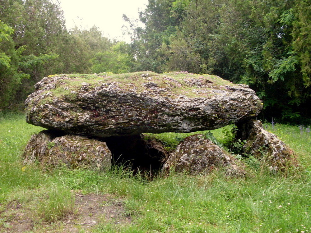 DOLMEN DE LA " PIERRE TOURNANTE " A TAVERS (45 )