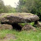 DOLMEN DE LA " PIERRE TOURNANTE " A TAVERS (45 )