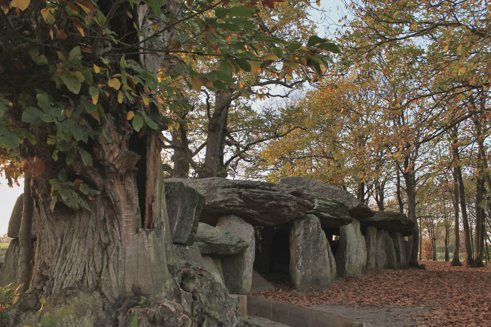 dolmen de la roche aux fées