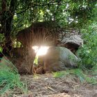 Dolmen im Sonnenuntergang