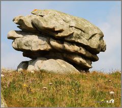 Dolmen und Menhire