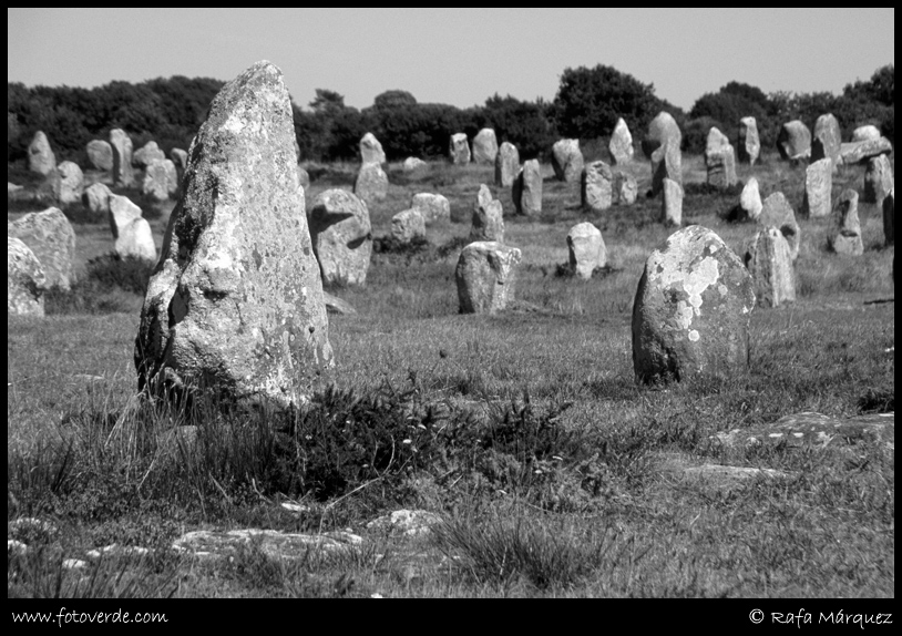 Dólmenes de Carnac (Francia)