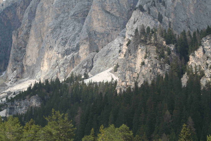 Dolomia