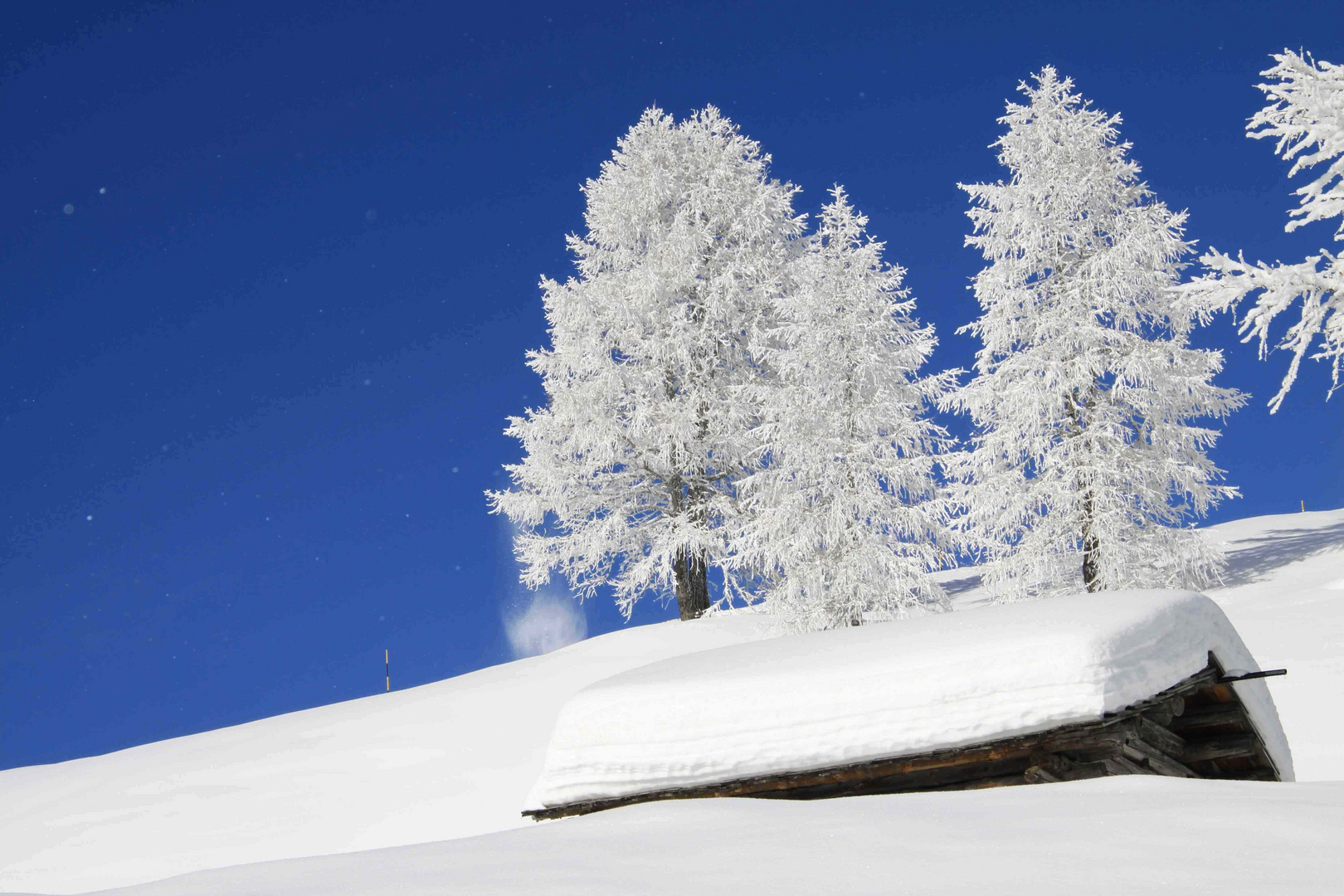 Dolomiten 1