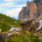 Dolomiten 