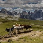 Dolomiten 18 - Schlern