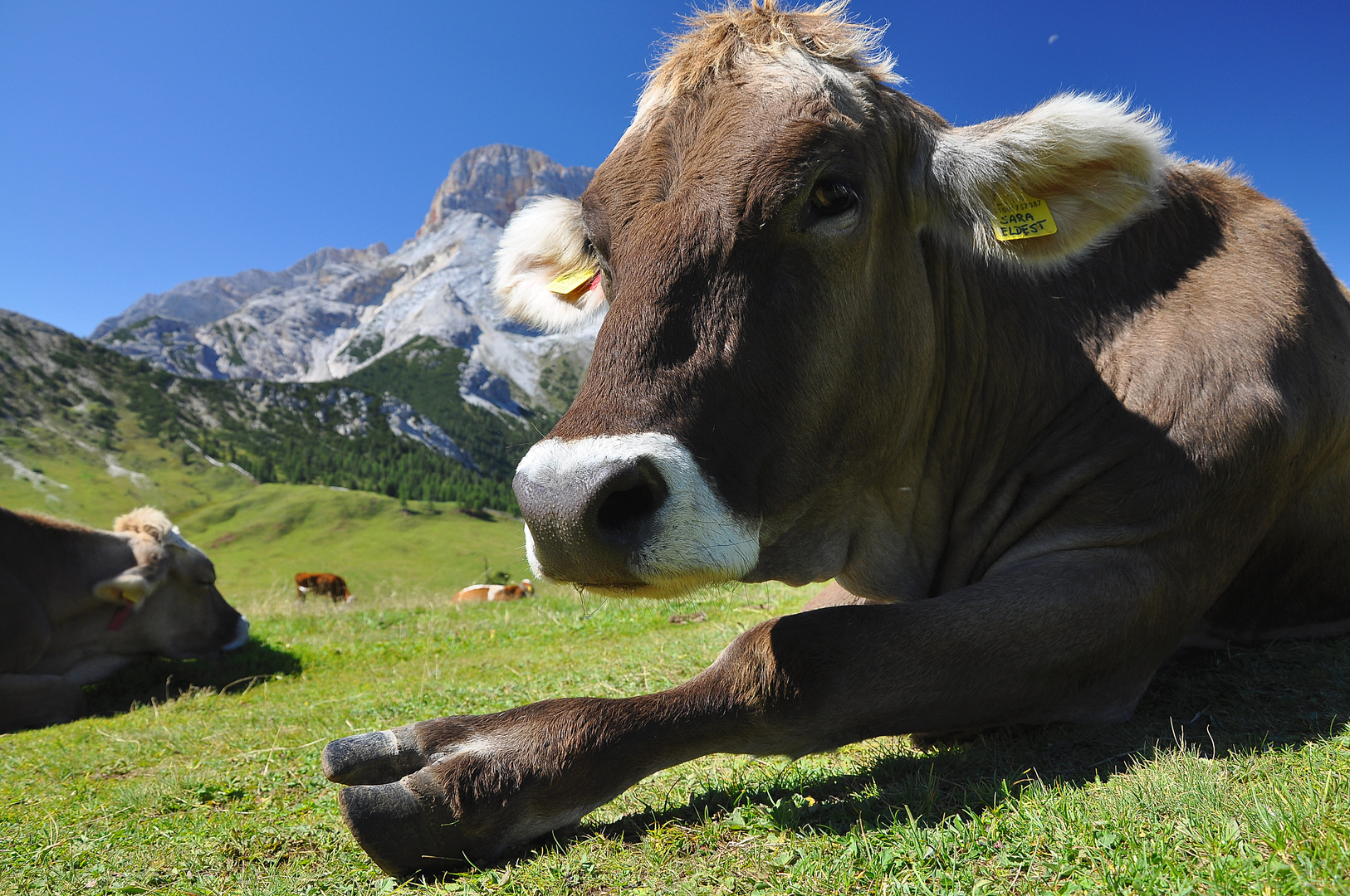 Dolomiten 2 - Stop, hier gehts nicht weiter!