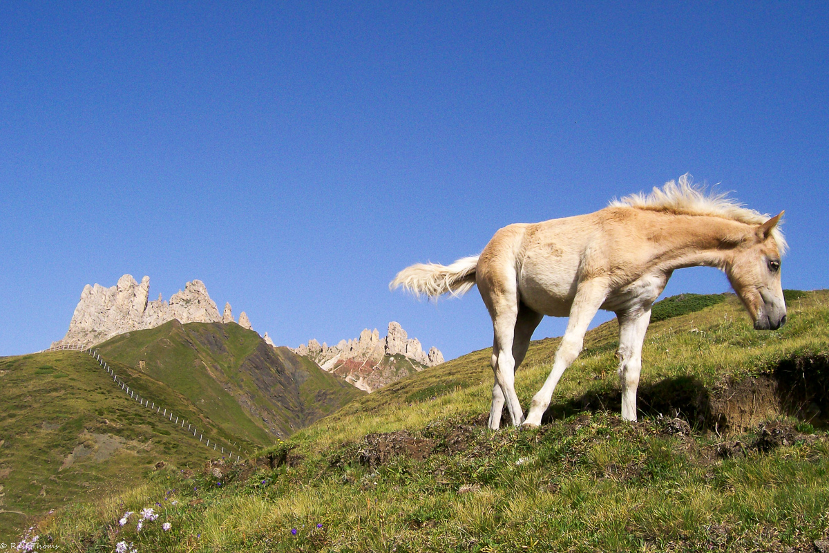 Dolomiten 2007